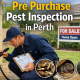 pre purchase pest