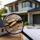 Building and Pest Inspection Cost