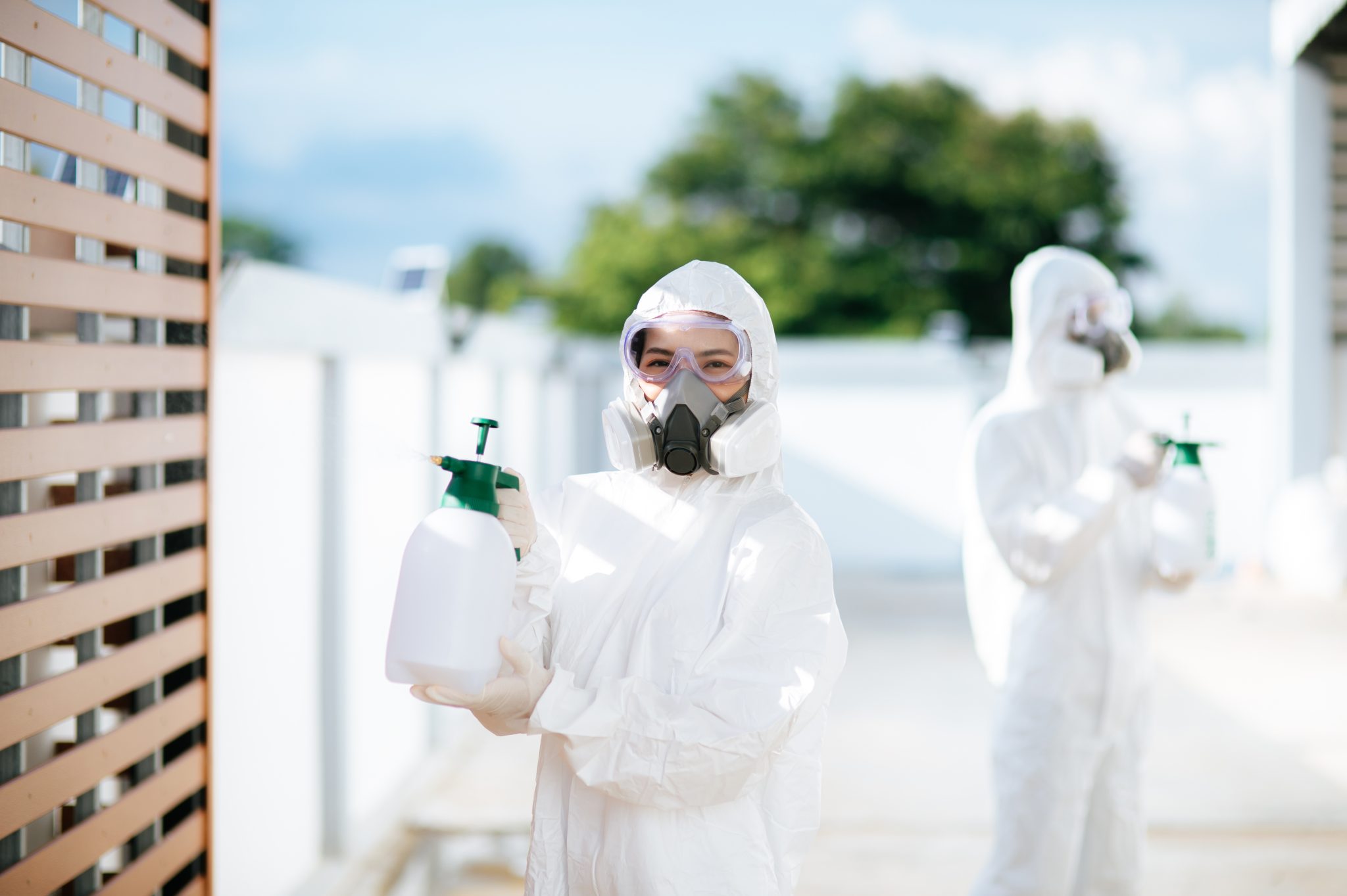 Building and Pest Inspection in Footscray