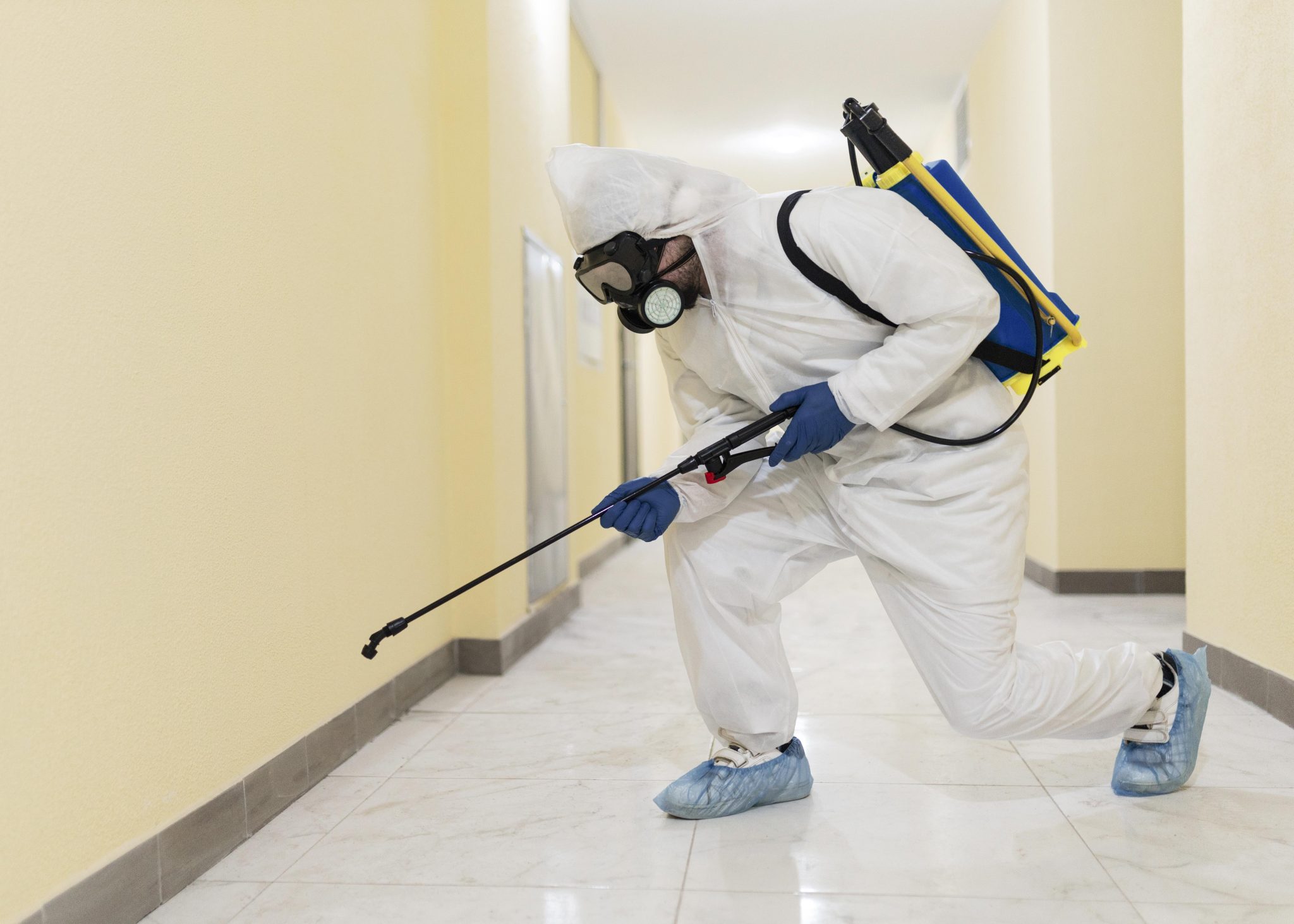 Building and Pest Inspection