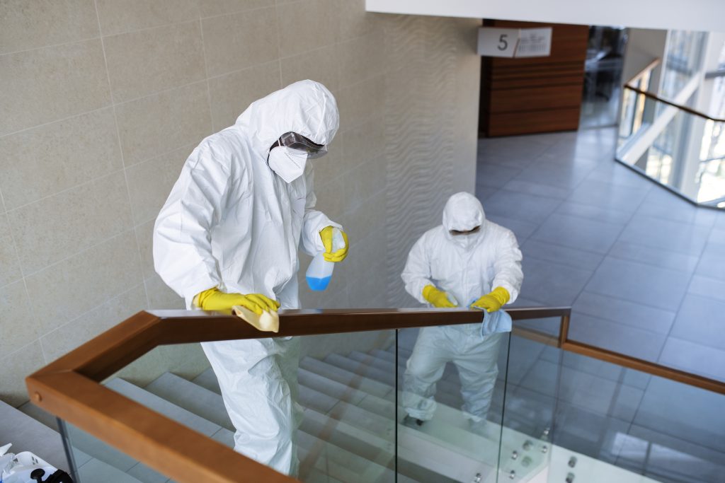 Building and Pest Inspection in Altona North