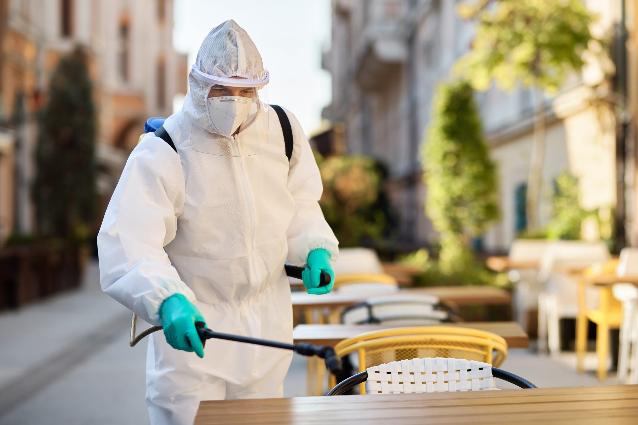 Building and Pest Inspection in Yarraville