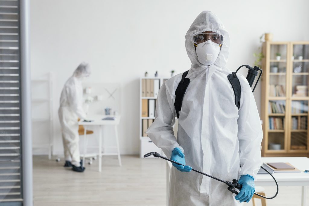 Pest Inspection in Melton