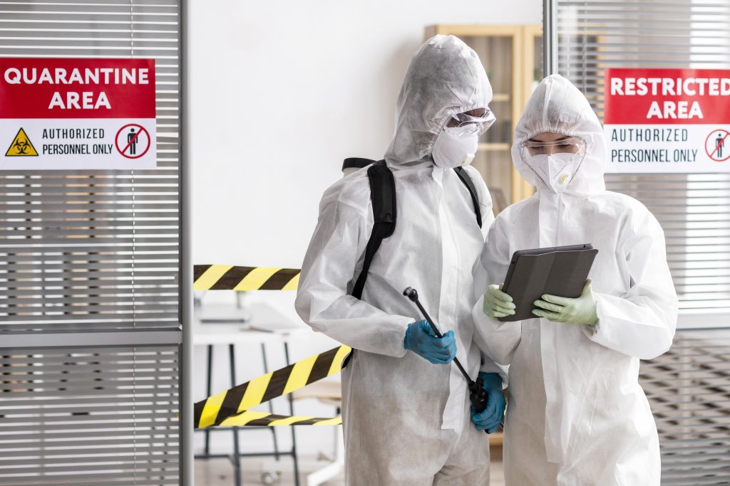 Building and Pest Inspection in Yarraville