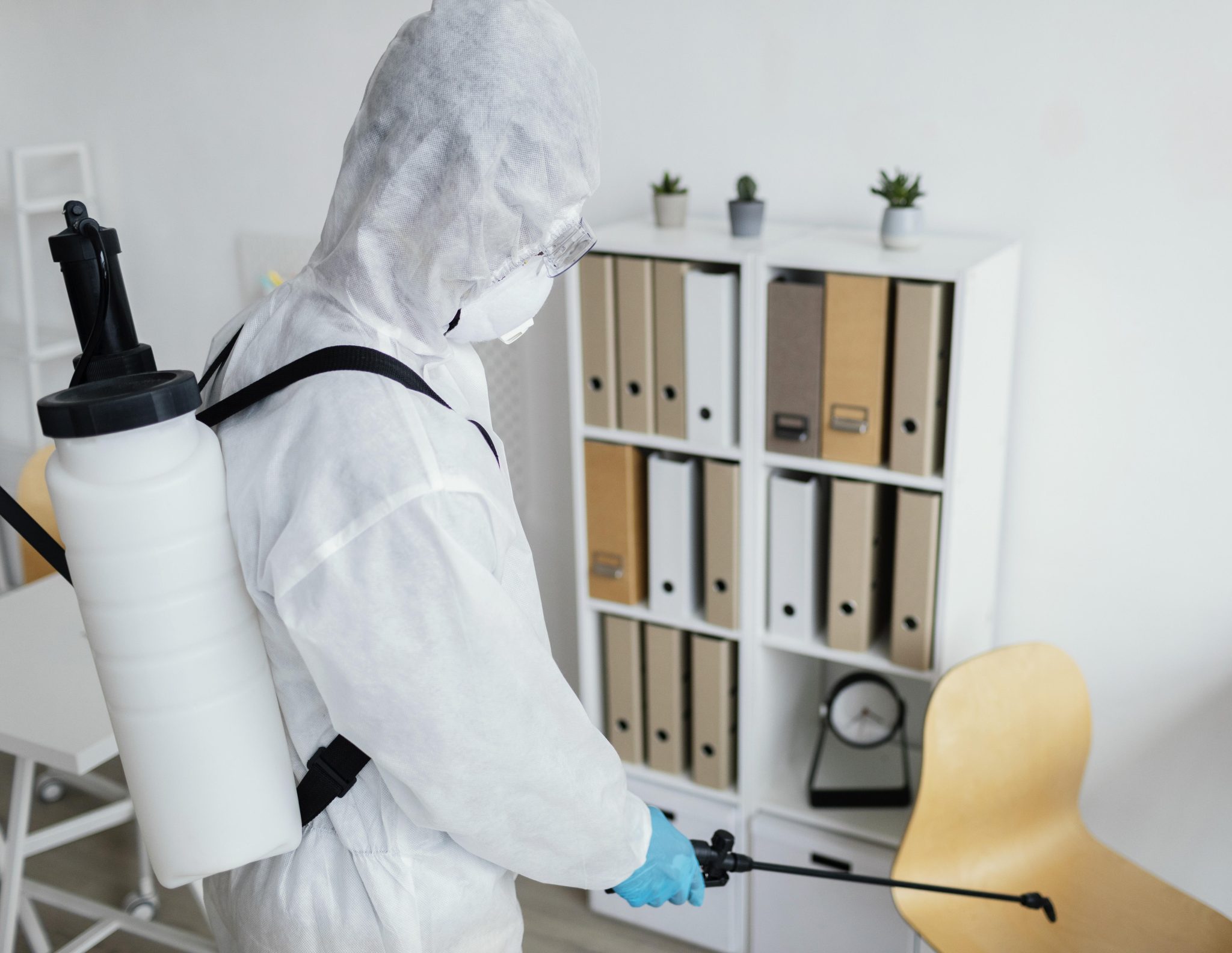 Building and Pest Inspection