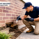 Pre Purchase Pest Inspection in Melbourne