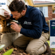 pest inspection