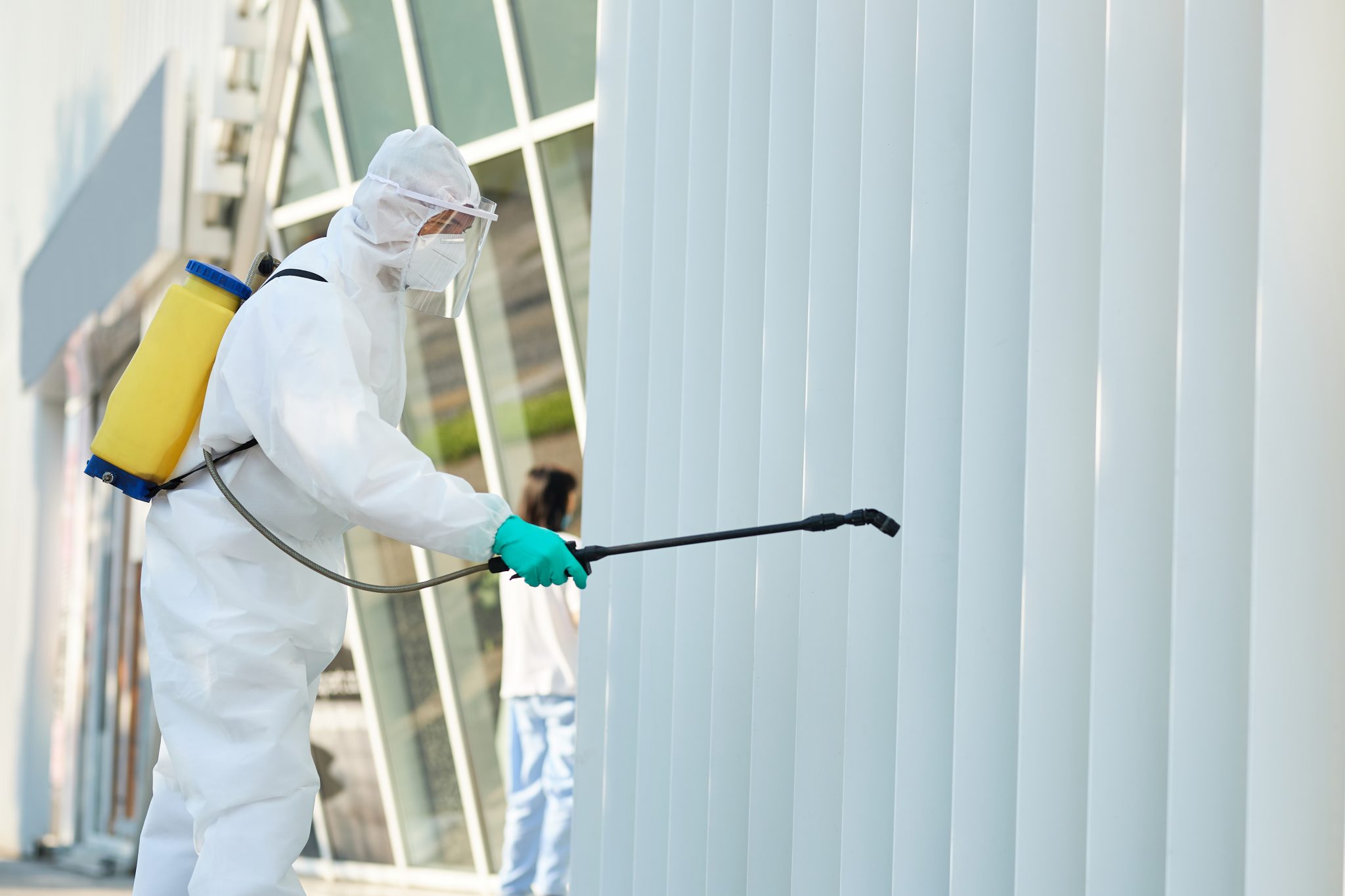 Building and Pest Inspection in Essendon