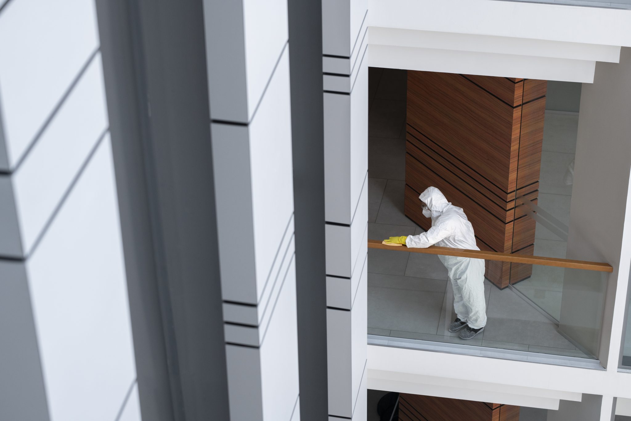 Building and Pest Inspection in Williamstown