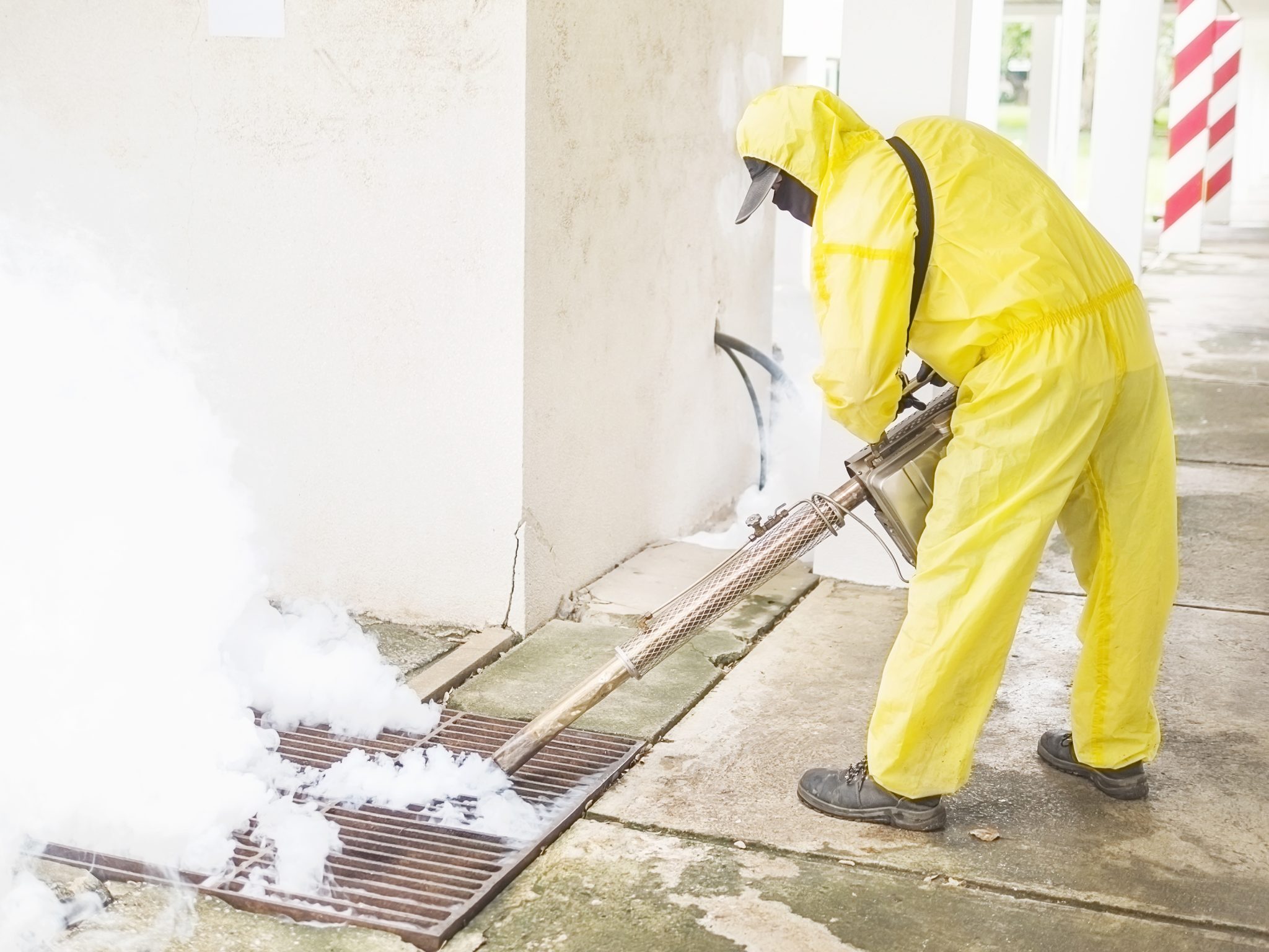 Building and Pest Inspection in Glenroy