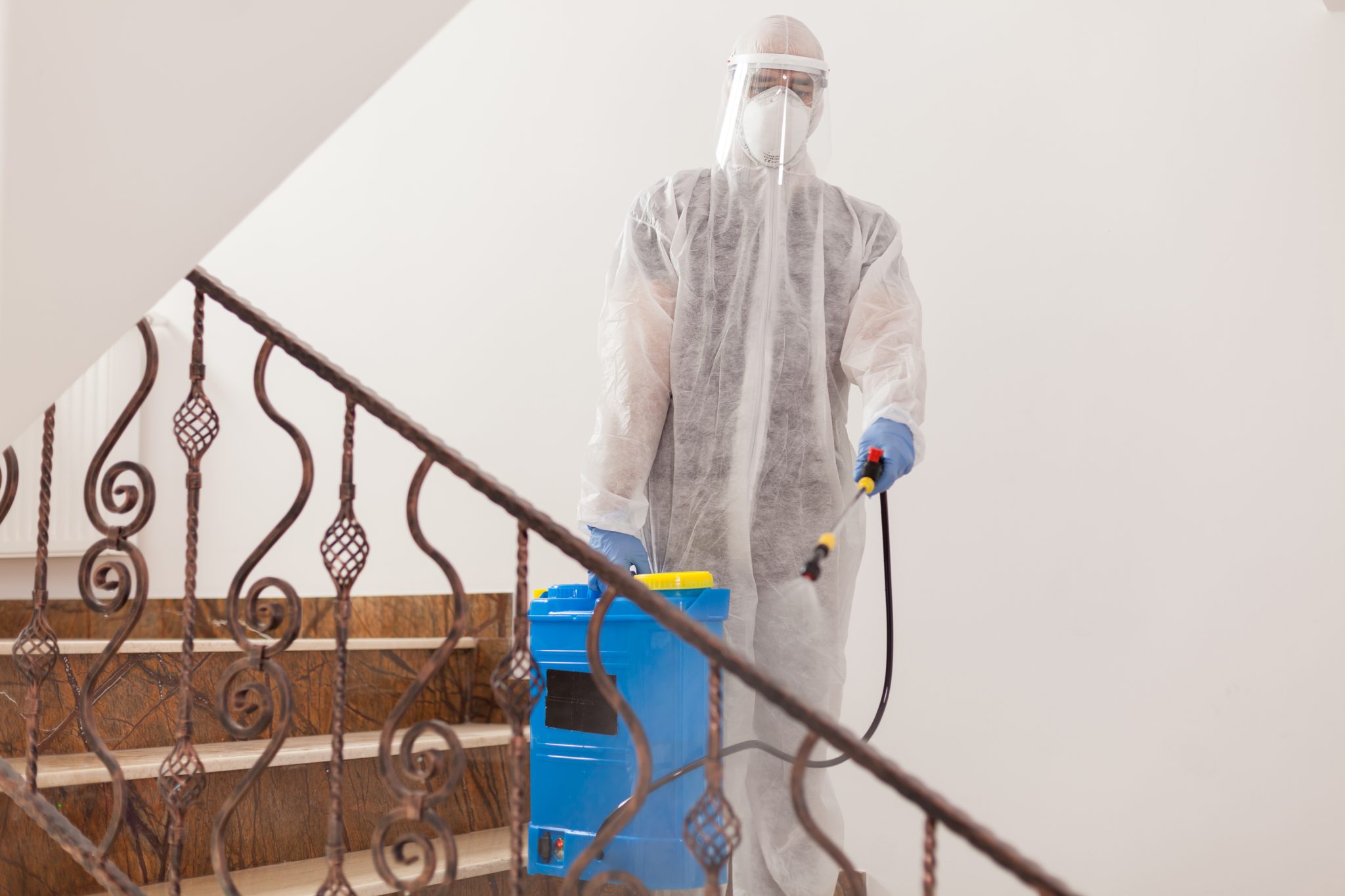 Building and Pest Inspection in Williamstown
