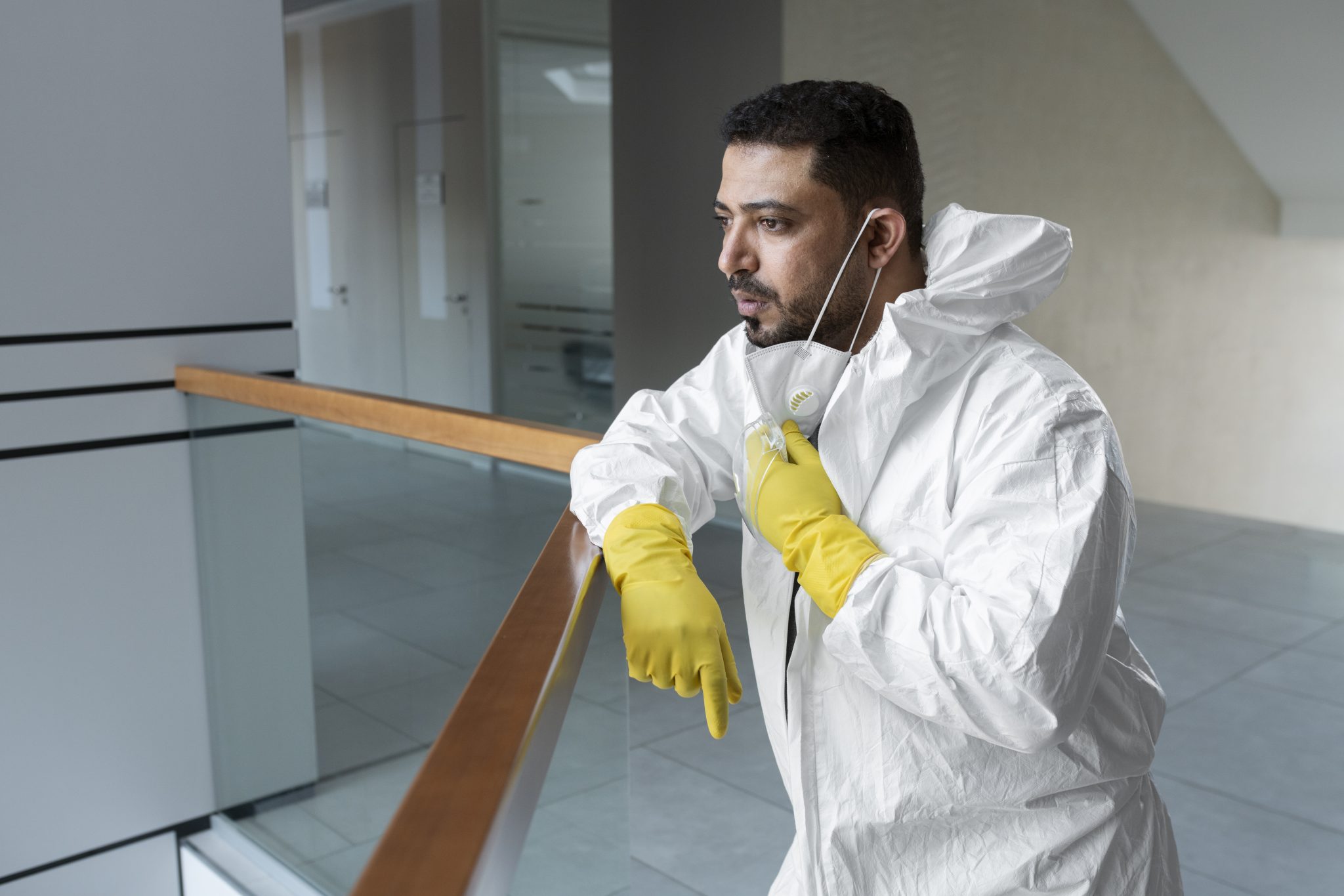 pest inspection