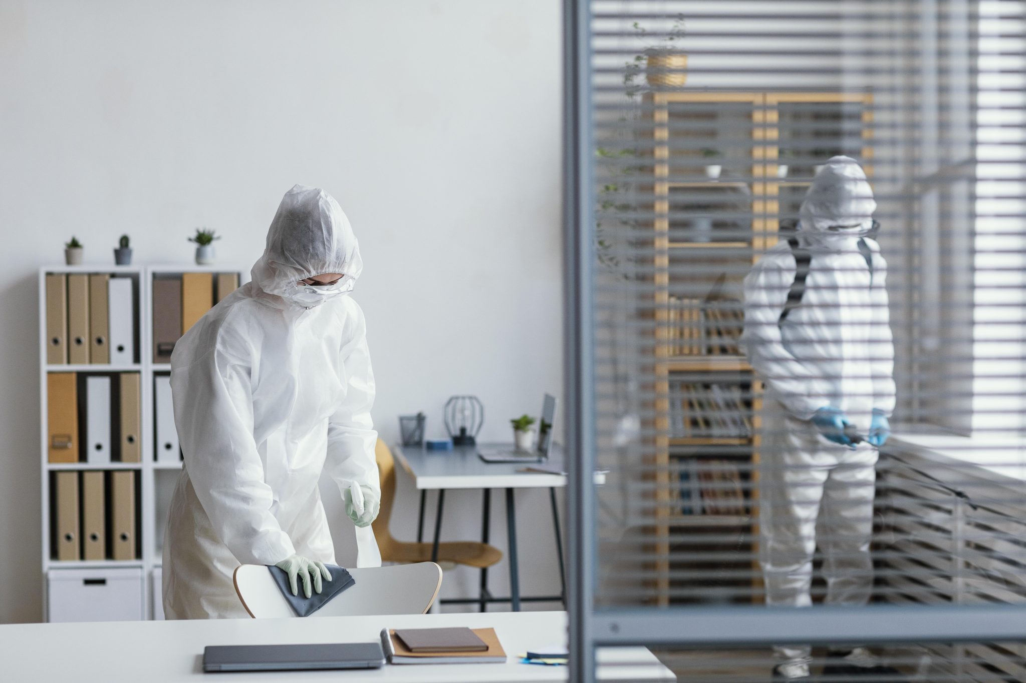 Building and Pest Inspection in Newport