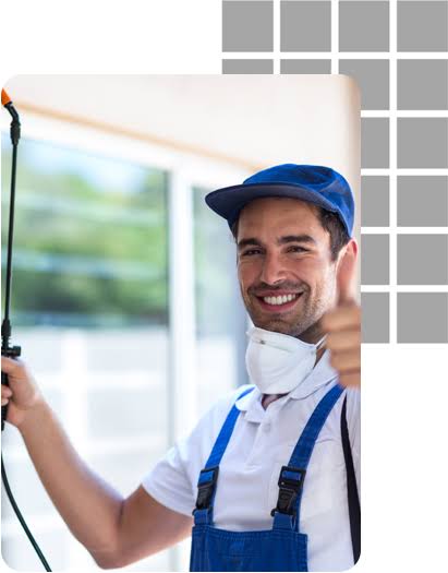 building and pest inspection